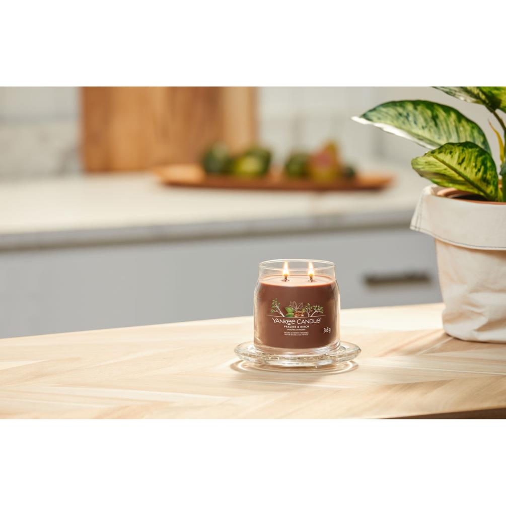 Yankee Candle Praline & Birch Medium Jar Extra Image 1